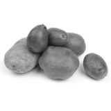 Organic Austrian Crescent Fingerling Potatoes