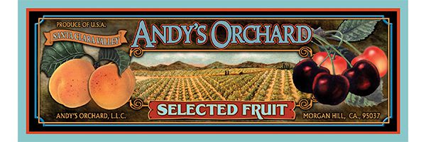 Andy's Orchard logo