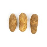 Potatoes #1 50 CT