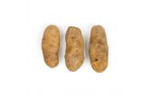 Potatoes #1 40 CT