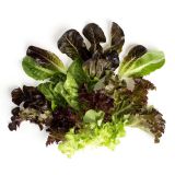 Organic Ultra Baby Lettuce Mix