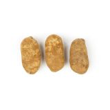Organic Russet Potatoes