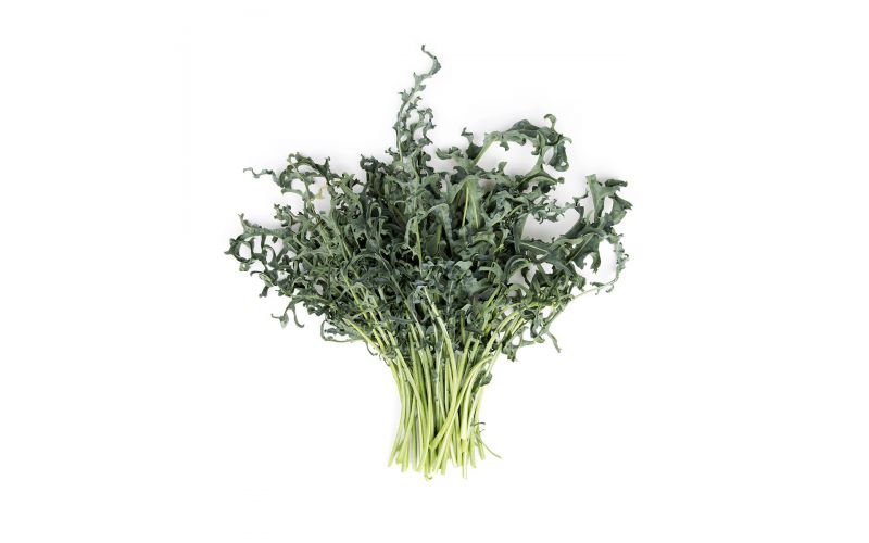 Organic Spigarello Kale