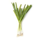 Organic Green Spring Garlic