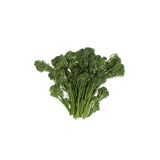 Organic Baby Broccolette