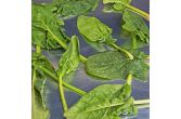 Washed Flat-Leaf Spinach