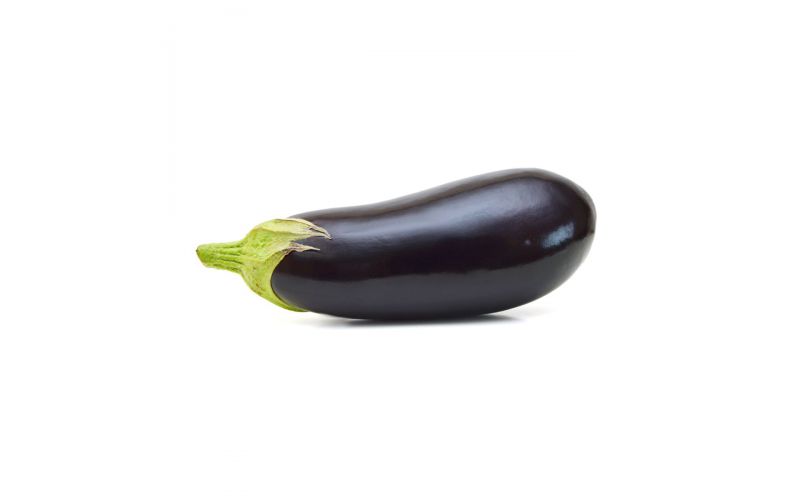 Holland Eggplant