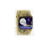 Organic Alfalfa/Radish Sprouts