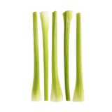 Trimmed and Washed Celery