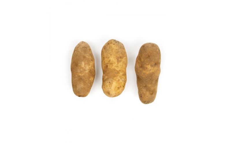 White Envol Frying Potatoes
