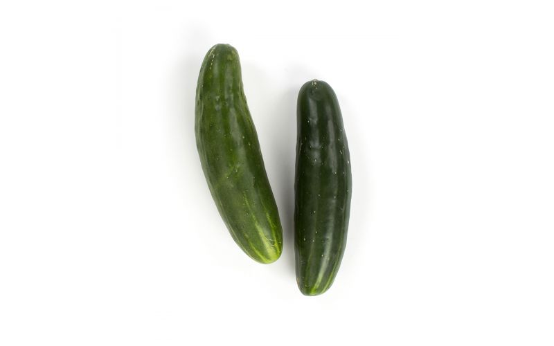 Super Select Slicing Cucumbers