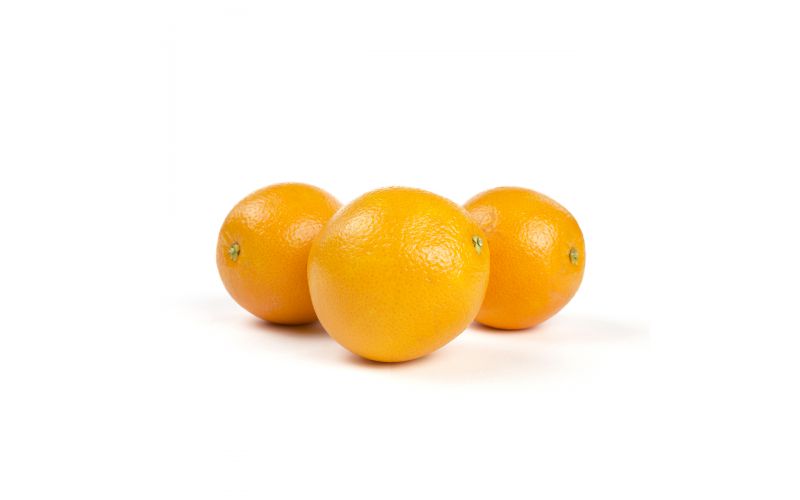 Organic Valencia Oranges
