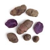 Organic Blue Adirondack Potatoes