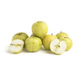 Ananas Reinette Heirloom Apples