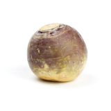 Unwaxed Rutabaga Turnips