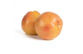 South African Star Ruby Grapefruit