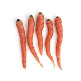 Organic Kyoto Carrots