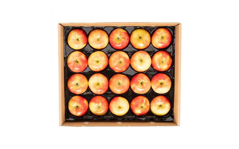 Panta-Pack Honeycrisp Apples
