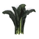 Local Lacinato Kale