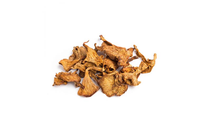 Dried Chanterelles Mushrooms