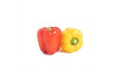 Organic Red & Yellow Pepper 2 Pack