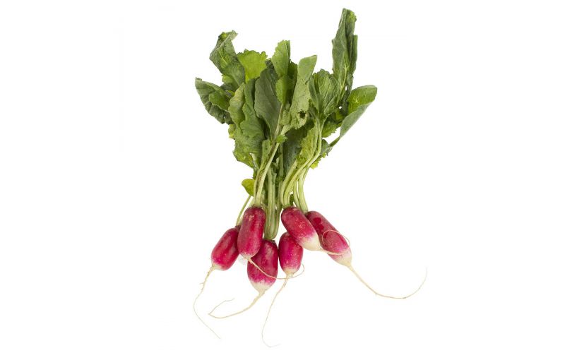 Local French Breakfast Radishes