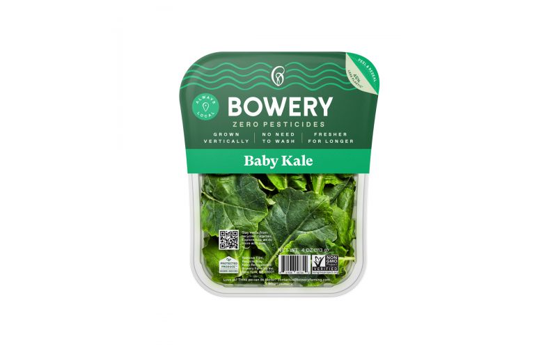 Green Baby Kale