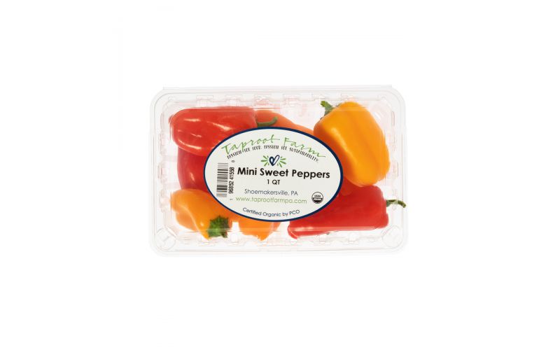 Organic Mini Sweet Peppers
