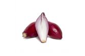 Red Tropea Onions
