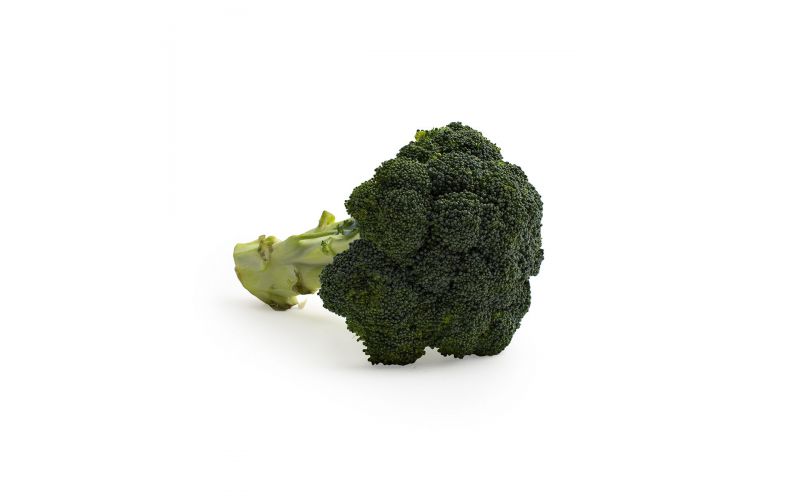 Iceless Broccoli
