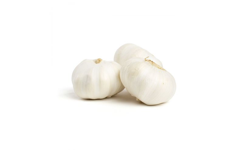 Super Colossal Garlic