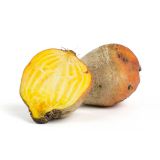 Large Gold Beets