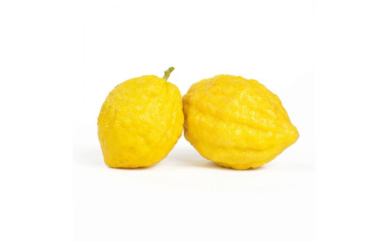 Etrog Citron
