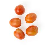 Organic Plum Tomatoes