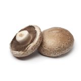 Medium Portobello Mushrooms