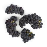 Organic Purple Mars Grapes